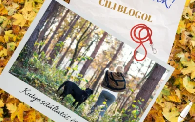 Kutyasétáltatás és klímax