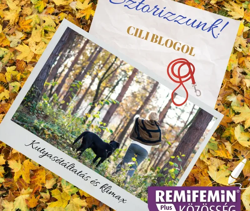 Kutyasétáltatás és klímax